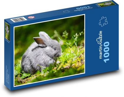 Králik - Puzzle 1000 dielikov, rozmer 60x46 cm