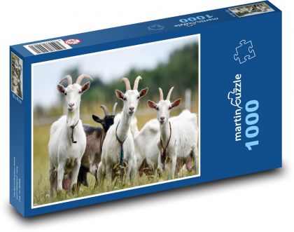 Ziegenherde - Puzzle - 1000 Teile