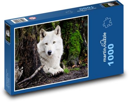 Bílý vlk - puzzle 1000 dílků