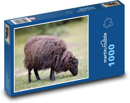Schaf - Puzzle - 1000 Teile