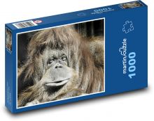 Orangutan - opice Puzzle 1000 dílků - 60 x 46 cm