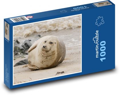 Foka - Puzzle 1000 elementów, rozmiar 60x46 cm