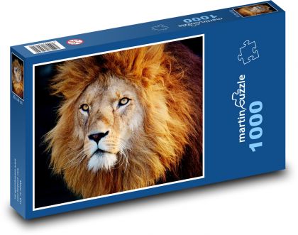 Lev s velkou hřívou - puzzle 1000 dílků