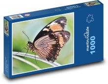 Tropický motýl Puzzle 1000 - 60x46 cm