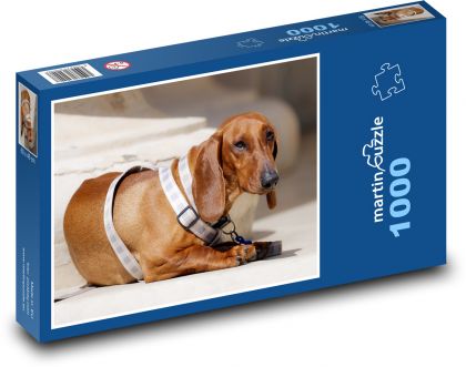 Hund - Dackel - Puzzle - 1000 Teile