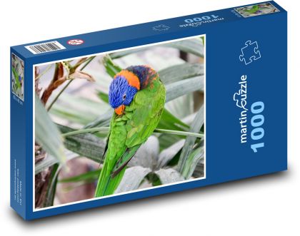 Duhový papoušek - puzzle 1000 dílků