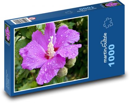 Hibiskus - kwiat - Puzzle 1000 elementów, rozmiar 60x46 cm