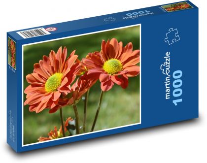 Astra - kvetina - Puzzle 1000 dielikov, rozmer 60x46 cm