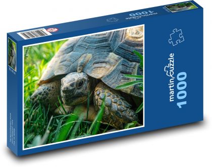 Schildkröte auf der Wiese - Puzzle - 1000 Teile
