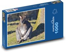 Klokan Puzzle 1000 dílků - 60 x 46 cm