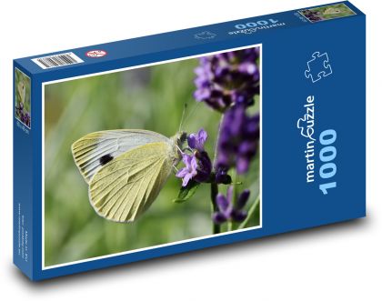Bílý motýl - puzzle 1000 dílků