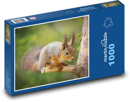 Baumhörnchen - Puzzle - 1000 Teile