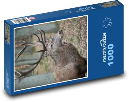 Jeleń - Puzzle 1000 elementów, rozmiar 60x46 cm