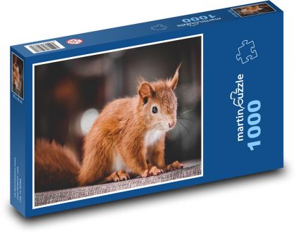 Rostiges Eichhörnchen - Puzzle - 1000 Teile