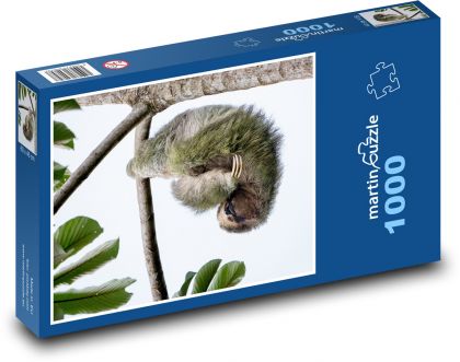 Faultier - Puzzle - 1000 Teile