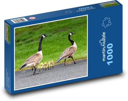 Ducks - family - Puzzle 1000 pieces, size 60x46 cm 