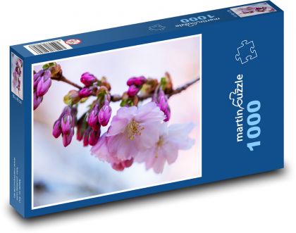 Kirschblüte - Puzzle - 1000 Teile