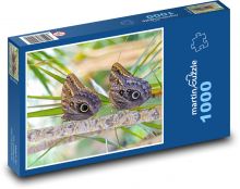 Lepidoptera Puzzle 1000 pieces - 60 x 46 cm 