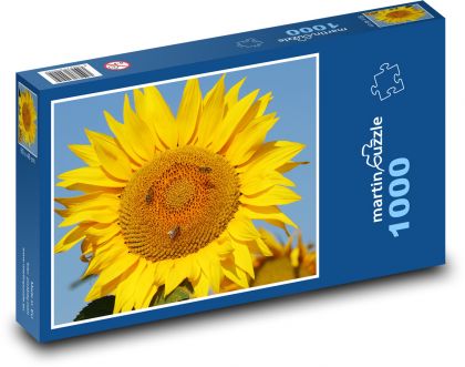 Slnečnica - Puzzle 1000 dielikov, rozmer 60x46 cm