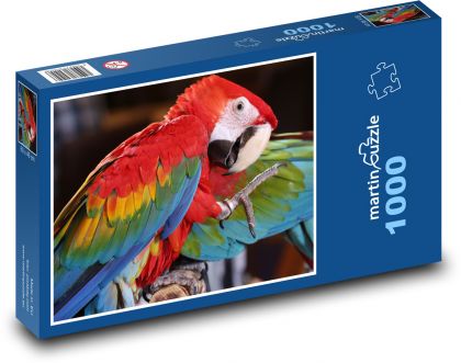 Papoušek ara  - puzzle 1000 dílků