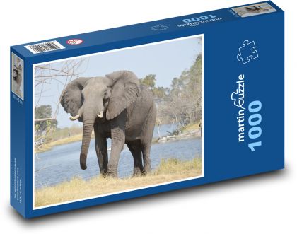 Slon - puzzle 1000 dílků