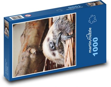 Spící lenochod - puzzle 1000 dílků