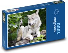 Der Wolf. Puzzle 1000 Teile - 60 x 46 cm