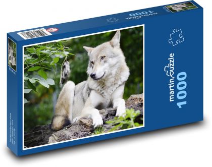Der Wolf. - Puzzle - 1000 Teile