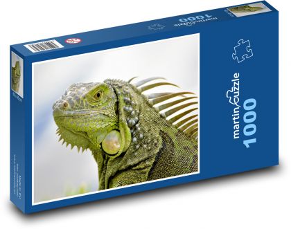 Leguan - Eidechse - Puzzle - 1000 Teile