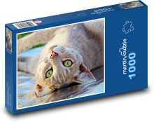 Nástenná mačka Puzzle 1000 dielikov - 60 x 46 cm 