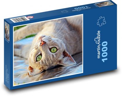 Nástenná mačka - Puzzle 1000 dielikov, rozmer 60x46 cm