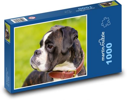 Pes - boxer - puzzle 1000 dílků