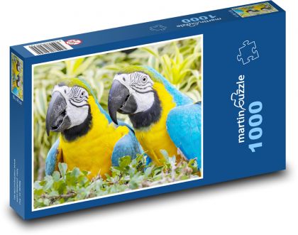 Papugowe - Puzzle 1000 elementów, rozmiar 60x46 cm
