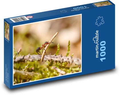Mravec - chrobák - Puzzle 1000 dielikov, rozmer 60x46 cm
