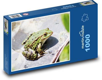 Žaba - obojživelník - Puzzle 1000 dielikov, rozmer 60x46 cm