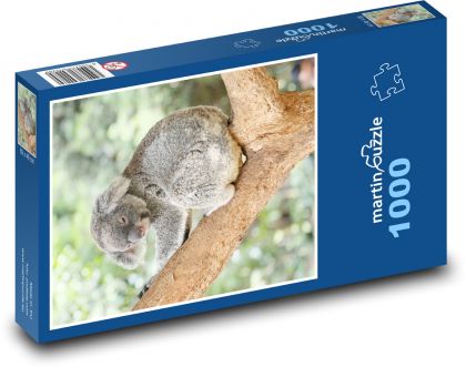 Koala auf einem Baum - Puzzle - 1000 Teile