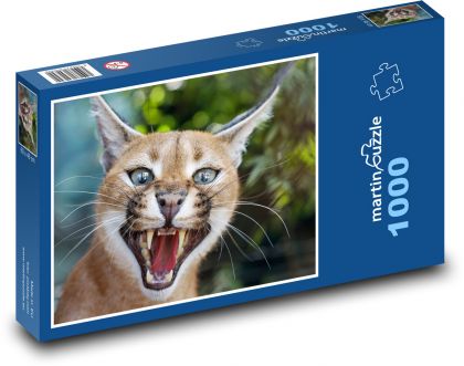 Karakal - šelma - puzzle 1000 dílků