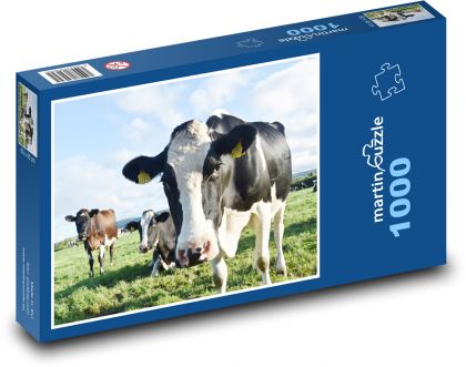 Kravy na lúke - Puzzle 1000 dielikov, rozmer 60x46 cm