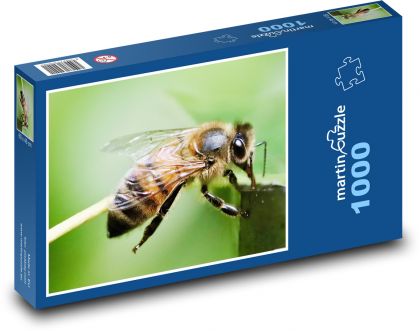 Honey bee - Puzzle 1000 pieces, size 60x46 cm 