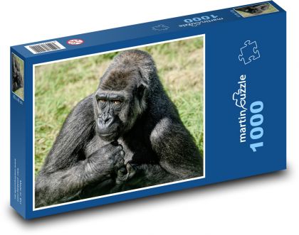 Goryl zachodni - Puzzle 1000 elementów, rozmiar 60x46 cm