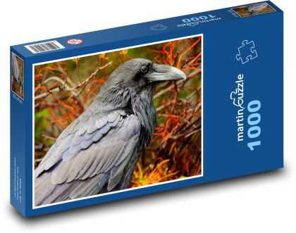 Havran - pták - puzzle 1000 dílků
