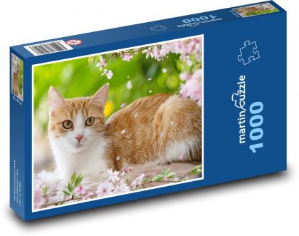 Europäische Katze - Puzzle - 1000 Teile