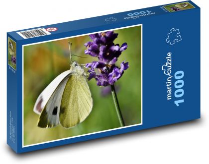 Schmetterling auf Lavendel - Puzzle - 1000 Teile