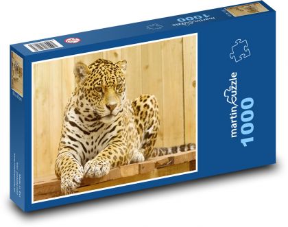 Jaguar - wild cat - Puzzle 1000 pieces, size 60x46 cm 