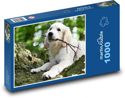 Zlatý retriever - šteniatko - Puzzle 1000 dielikov, rozmer 60x46 cm
