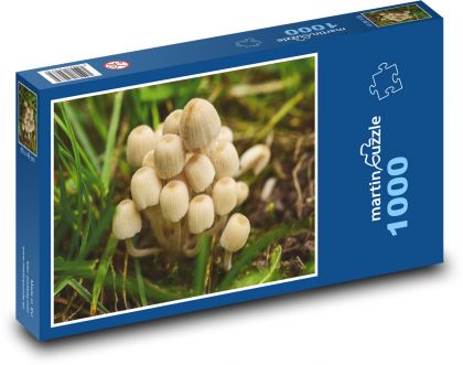 Grzyby w lesie - Puzzle 1000 elementów, rozmiar 60x46 cm