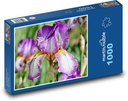 Iris - kvet - Puzzle 1000 dielikov, rozmer 60x46 cm