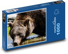 Braunbär Puzzle 1000 Teile - 60 x 46 cm