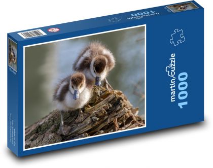 Egyptské husi - Puzzle 1000 dielikov, rozmer 60x46 cm