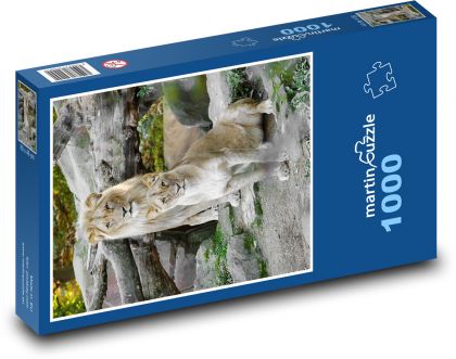 Löwe und Löwin in der Natur - Puzzle - 1000 Teile